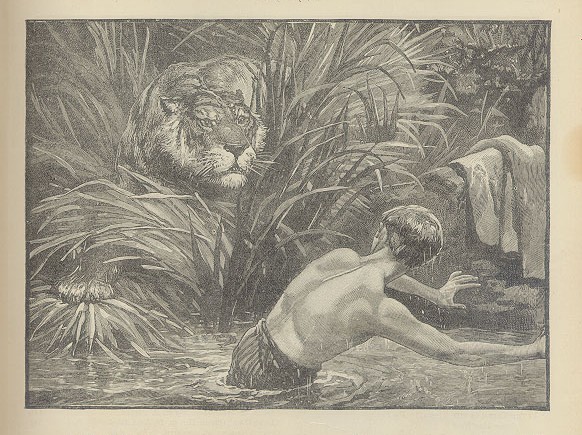 Illustration from The Boys Own Annual